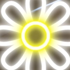 Meet your Posher, Ava